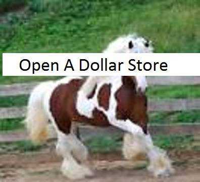 Big Profit in your Own Dollar Store## - $21900 (SC