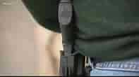 SC Open Carry Law S-News 19 WLTX-Bing.jpg