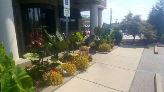 LANDSCAPING BUSINESS - $100000 (Westminster)  