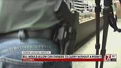 Open Carry Bill  