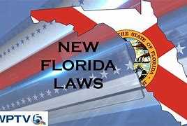 What New Laws Start January 1?  FOX 13 Tampa Bay 7