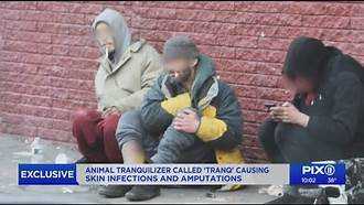 Tranq’ Users Talk About Skin-eating Drug that can 