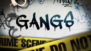 Gangs S-Counton2 Google.jpg
