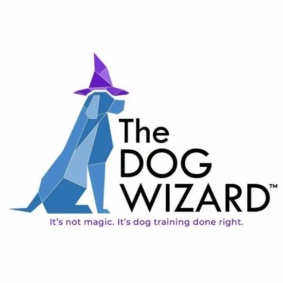 The Dog Wizard